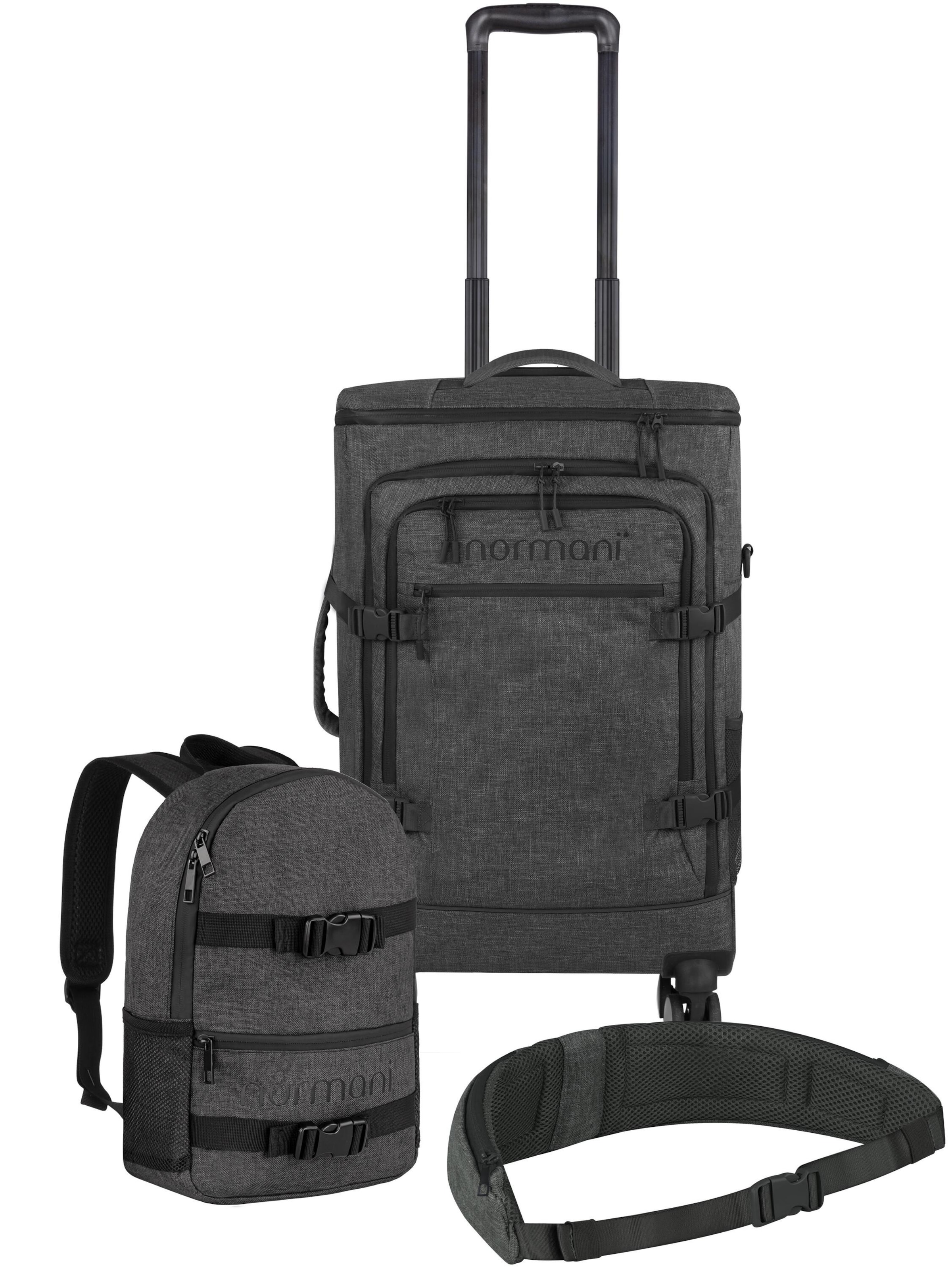 normani Trolley mit Rucksack und Hüftgurt in Grau: Vorderseite