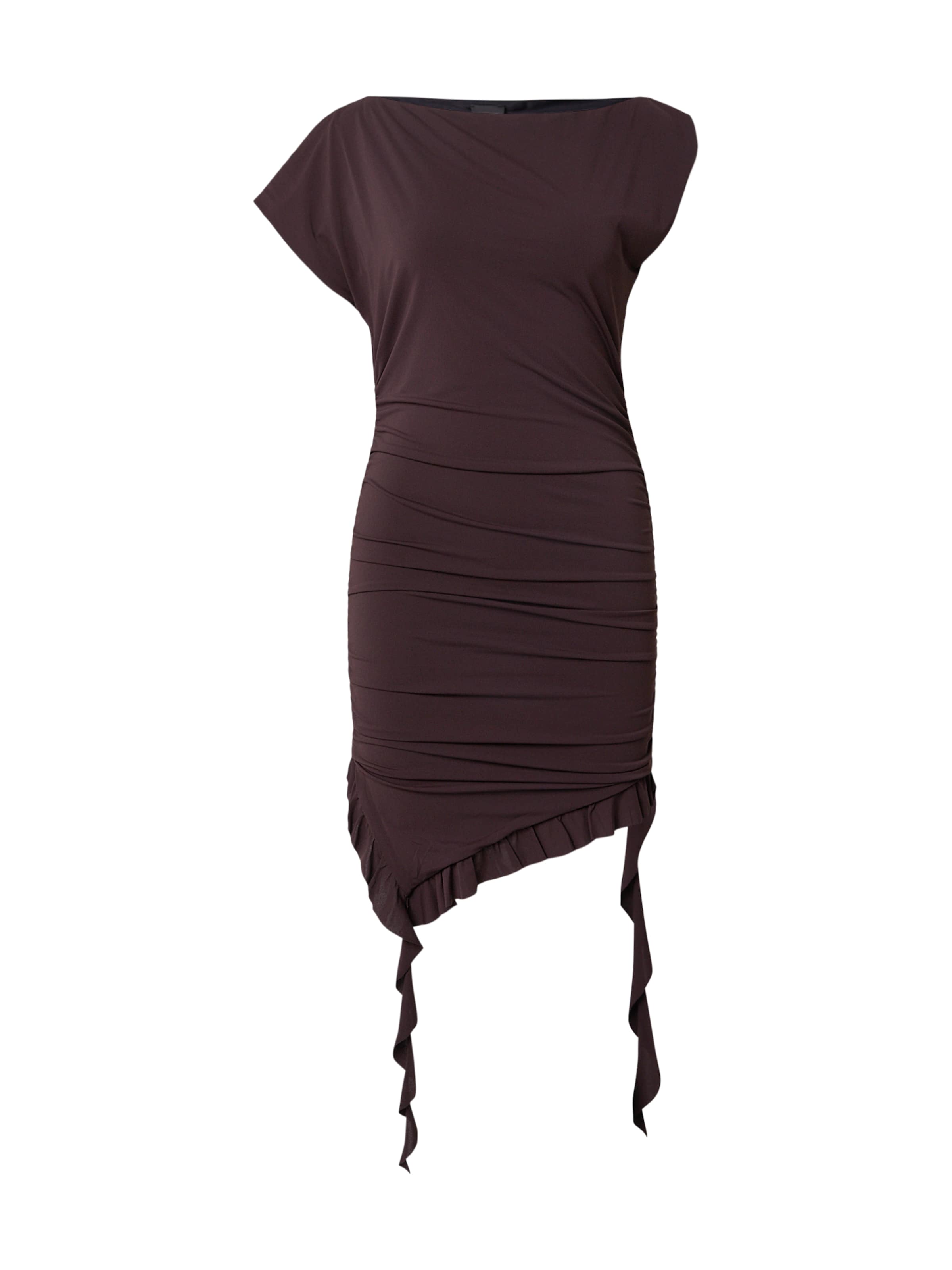 PINKO Haljina 'ALISHA' u tamno smeđa, Pregled proizvoda