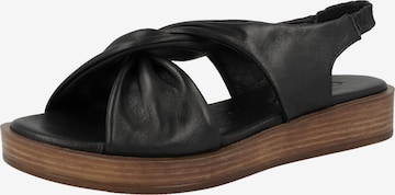 Sandales à lanières CAPRICE en noir : devant
