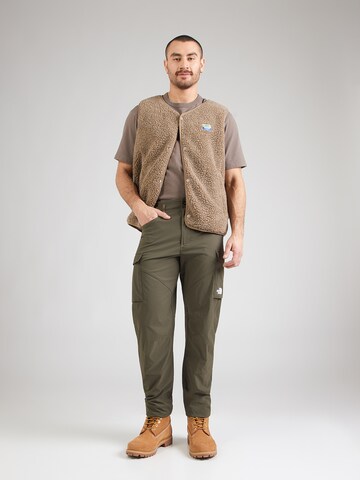 THE NORTH FACE Обычный Штаны в спортивном стиле 'EXPLORATION' в Зеленый