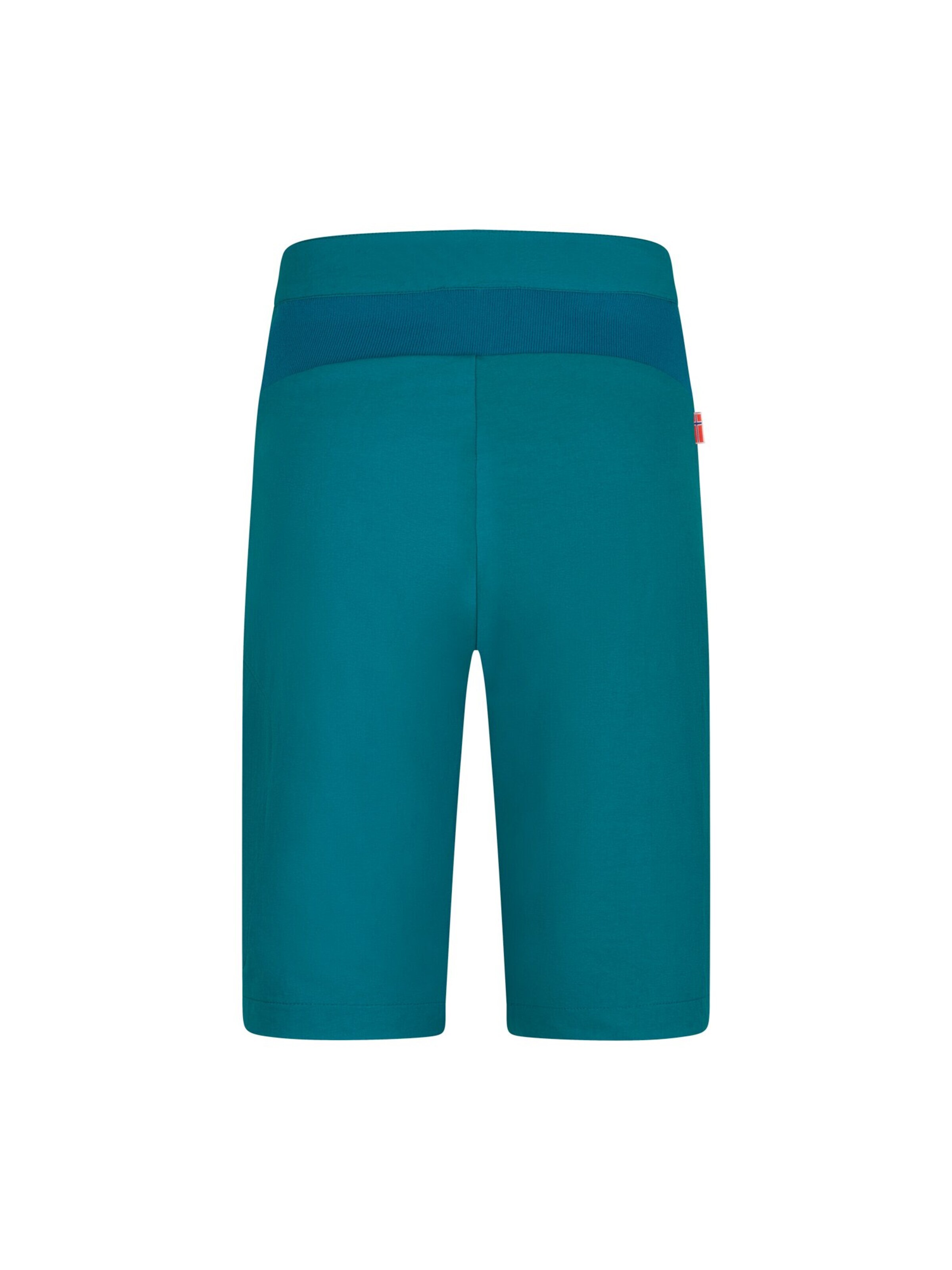 TROLLKIDS Regular Workout Pants in Green