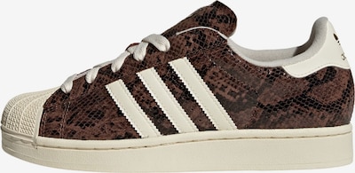 Sportbačiai be auliuko 'Superstar II' iš ADIDAS ORIGINALS, spalva – ruda / tamsiai ruda / vilnos balta, Prekių apžvalga