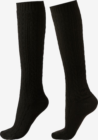CALZEDONIA Socken in Schwarz: Vorderseite