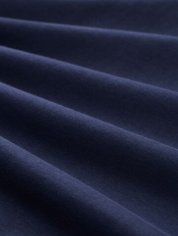 TOM TAILOR DENIM Sweatshirt in Blauw