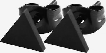 Akzent Earrings 'Talvi, langlebig' in Black: front