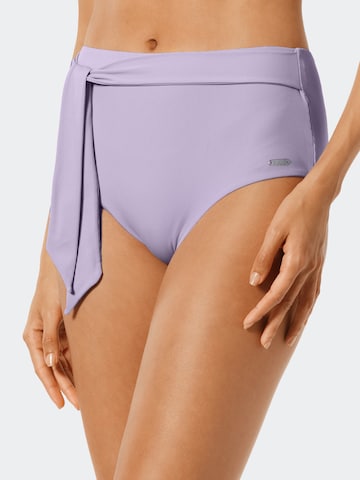 SCHIESSER Bikini Bottoms ' Aqua Californian Dream ' in Purple: front