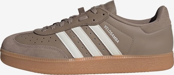 Chaussure de sport 'Velosamba' ADIDAS PERFORMANCE en marron : devant