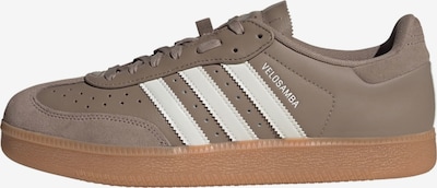 ADIDAS PERFORMANCE Sapatilha de desporto 'Velosamba' em 35 em castanho / branco, Vista do artigo