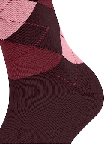 FALKE Socks 'Sensitive Argyle' in Red