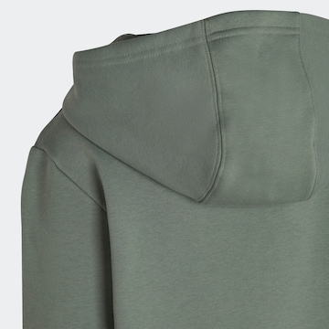 ADIDAS ORIGINALS Sweat suit 'Adicolor' in Green