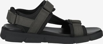 GEOX Hiking Sandals 'Xand 2S' in Grey