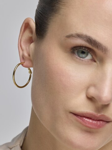 Luxenter Øreringe 'Nianres' i guld