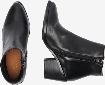 DreiMaster Vintage Ankle boots in Black