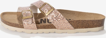 Bayton Pistokkaat 'CLEO' värissä vaaleanpunainen: etupuoli