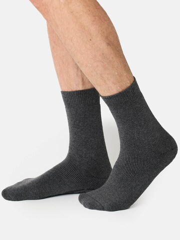 Nur Die Sokken ' Silikondruck ' in Grijs: voorkant