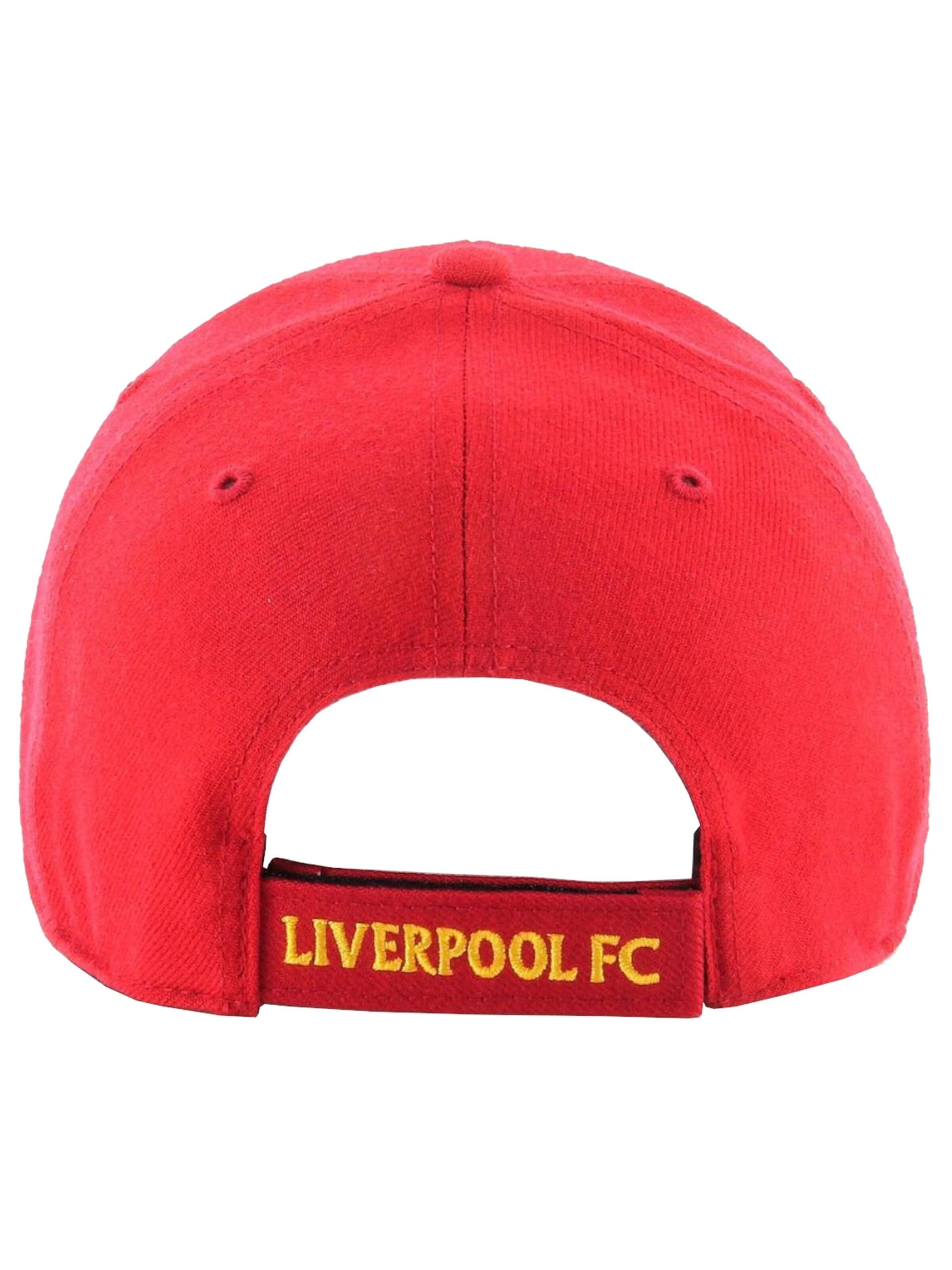 47 Pet 'EPL FC Liverpool' in Rood