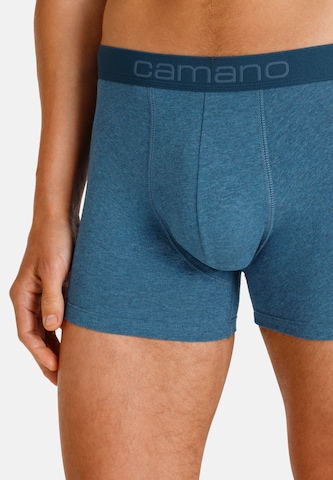 camano Boxershorts in Blau