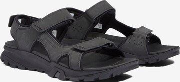 TIMBERLAND Sandals in Black