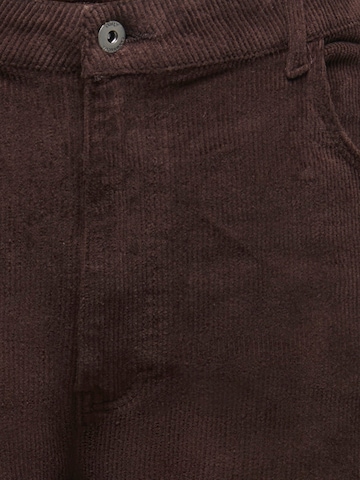 ONLY Carmakoma Wide leg Byxa 'CARHope' i brun