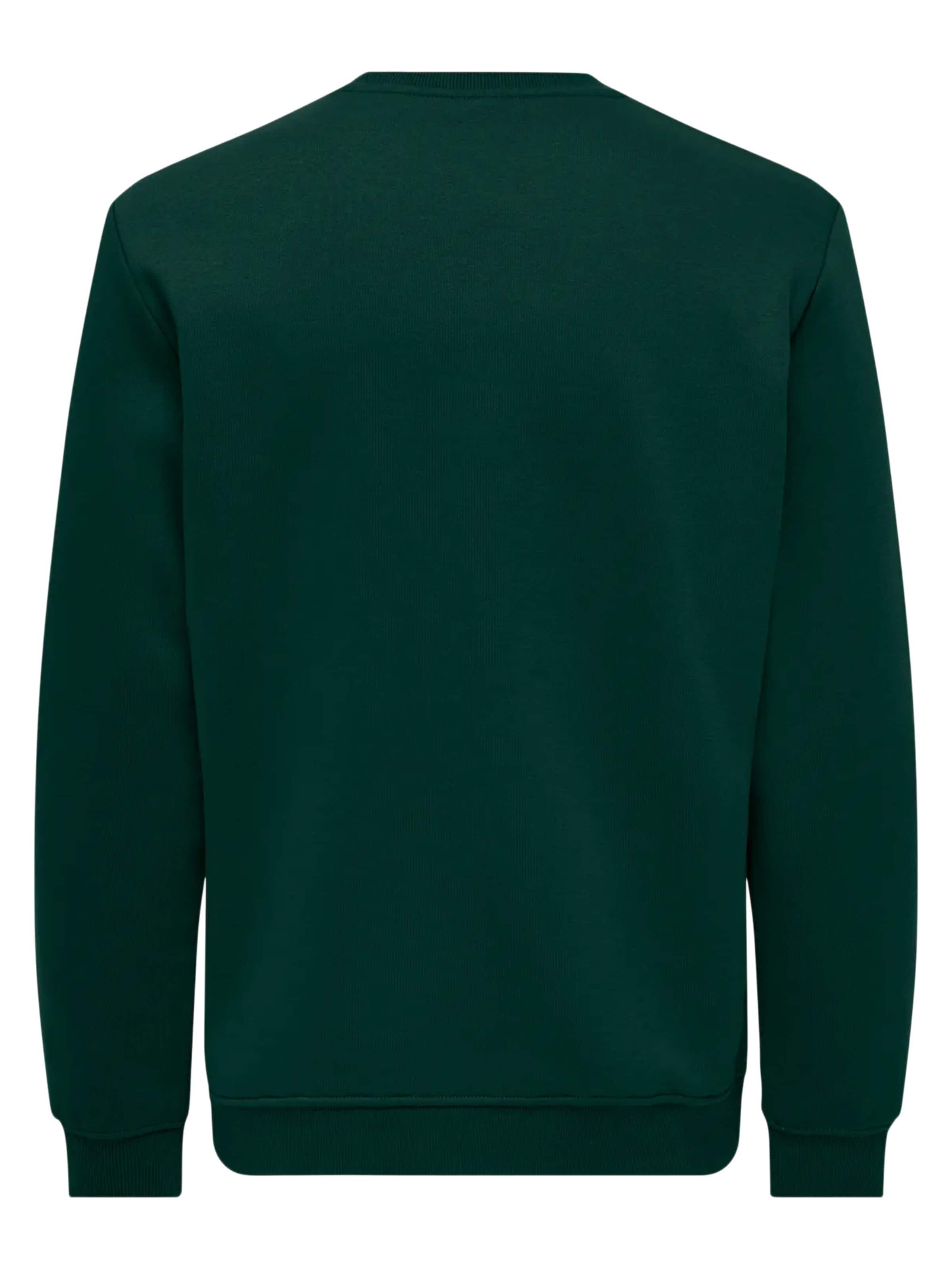 Only & Sons Sweatshirt 'Connor'‌‌‌‌‌‌‌‌ in Grün