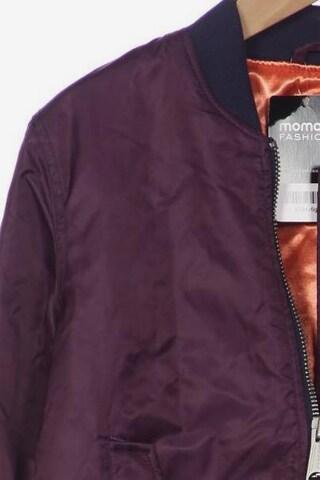 Schott NYC Jacket & Coat in S in Purple