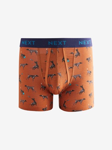 Boxers Next en mélange de couleurs