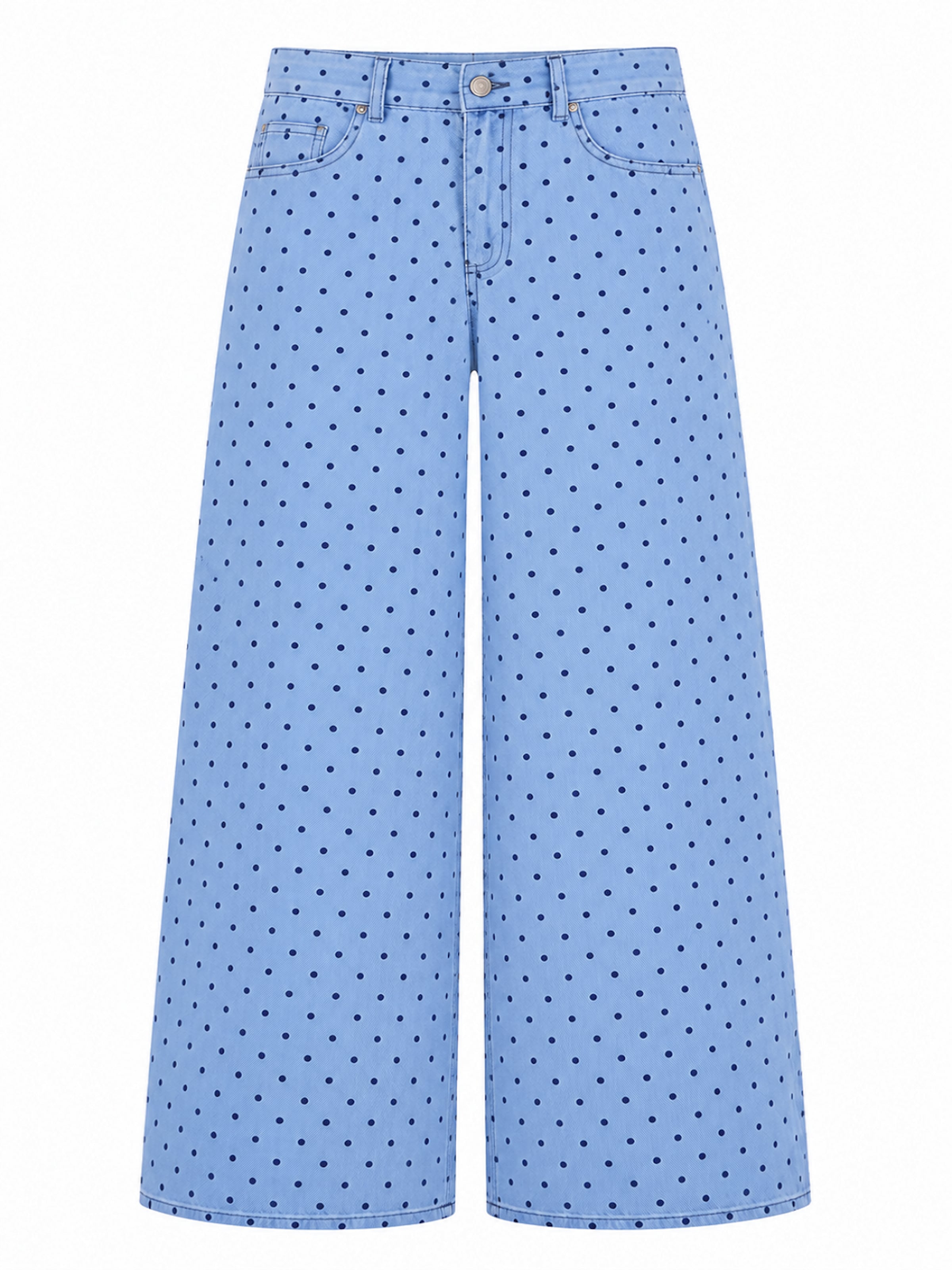 IT'S BASIC Wide leg Jeans 'POLKA PALAZZO LOW RISE JEANS' in Blauw: voorkant
