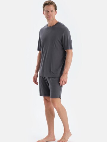 Dagi Pyjama in Grau