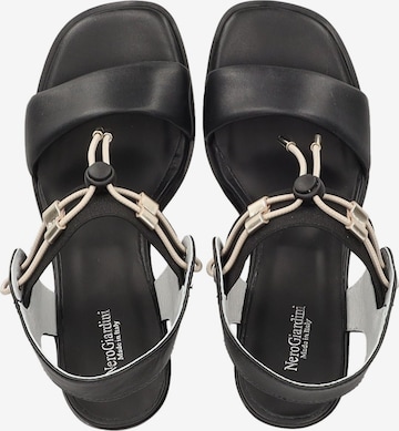 Nero Giardini Sandals in Black