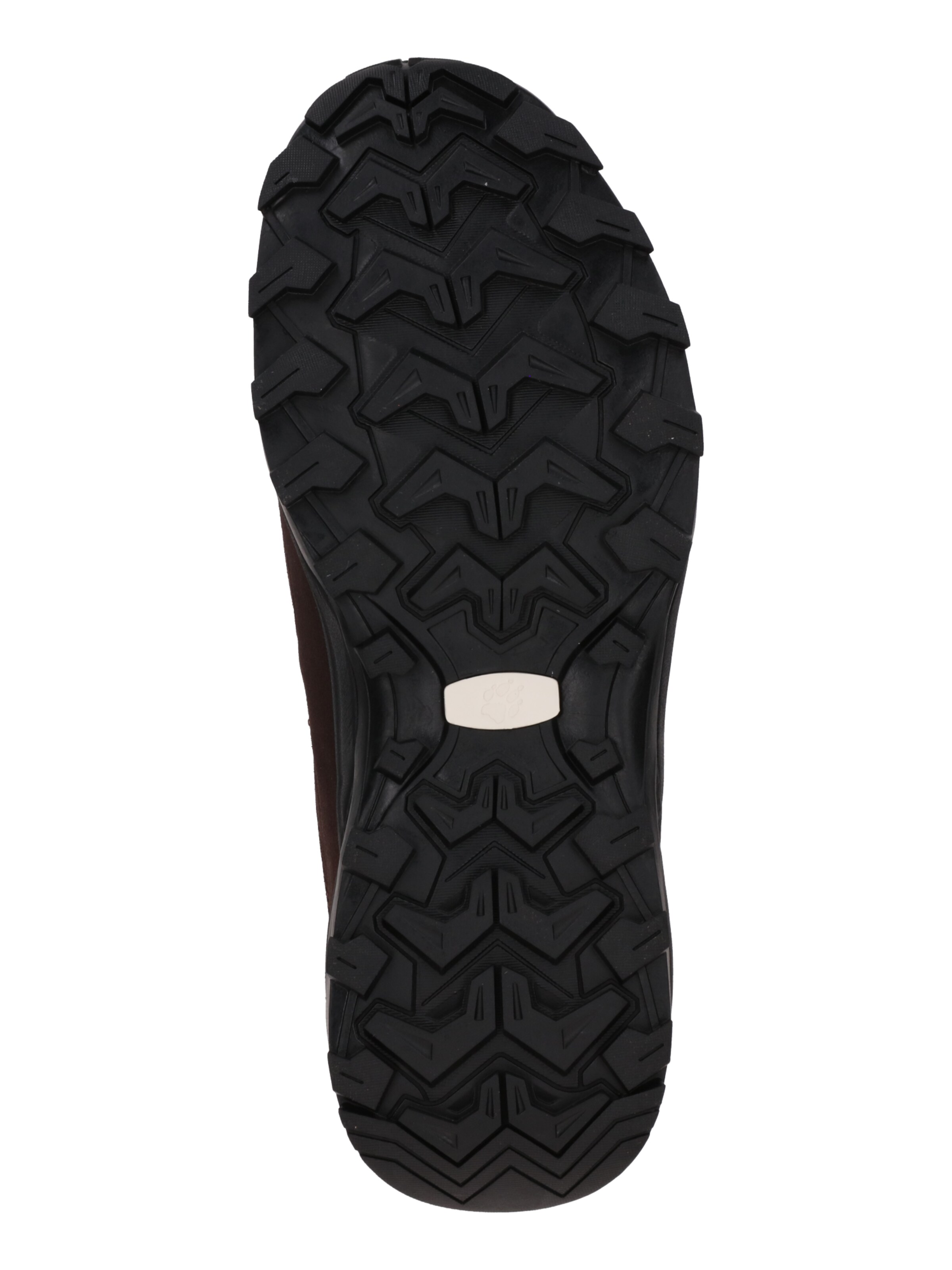 Chaussure basse 'SUNSET HIKE' JACK WOLFSKIN en marron