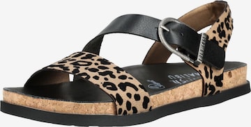 Sandales à lanières Blowfish Malibu en noir : devant