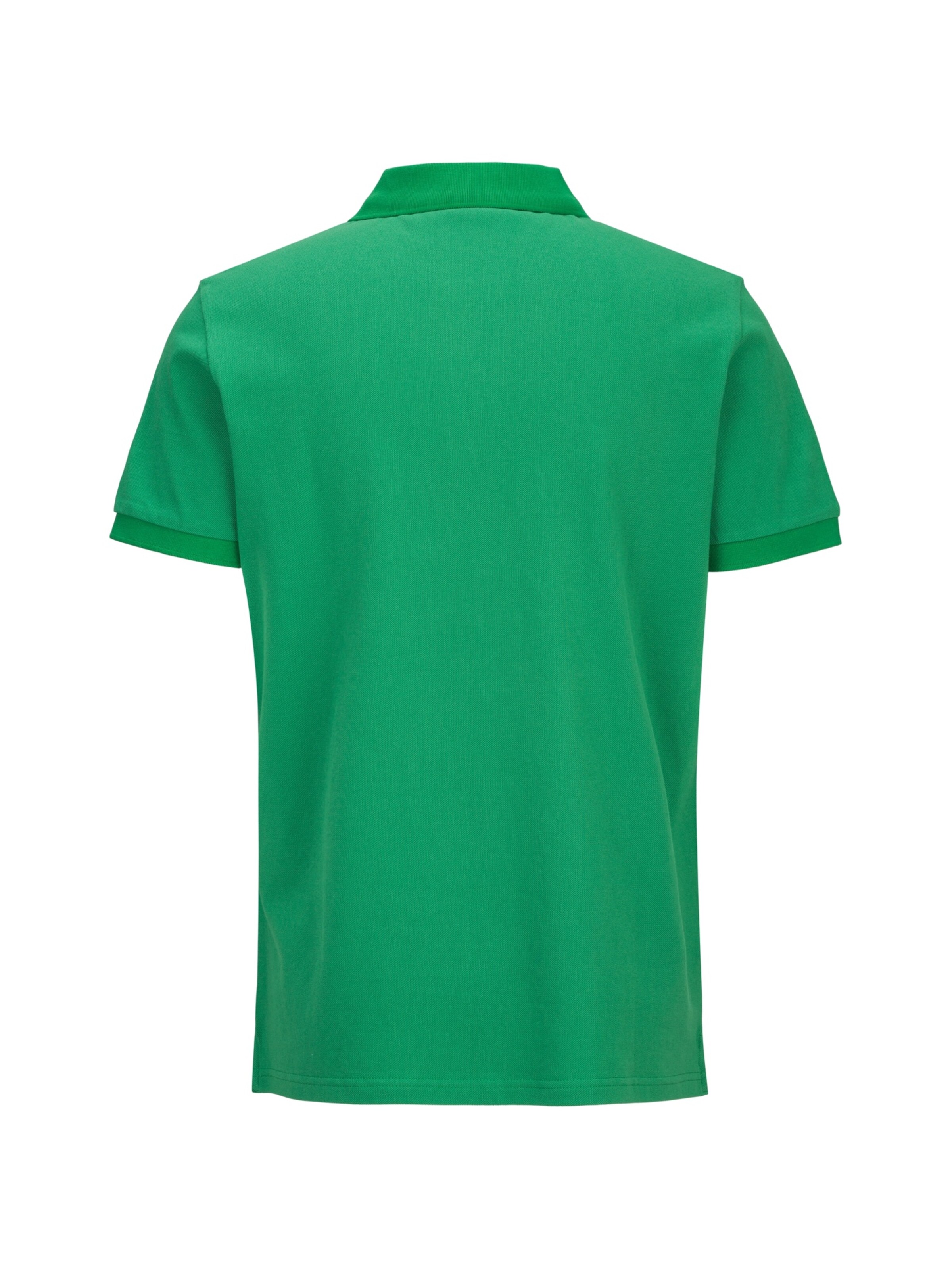 19V69 ITALIA Shirt 'Emilio' in Groen