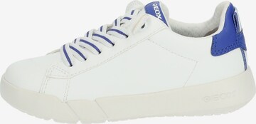 GEOX Sneakers in Wit