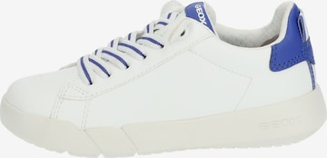 GEOX Sneaker in Weiß