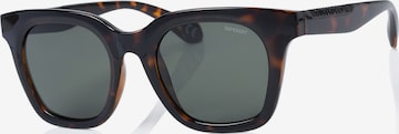 Superdry Eyewear Sunglasses in Brown: front