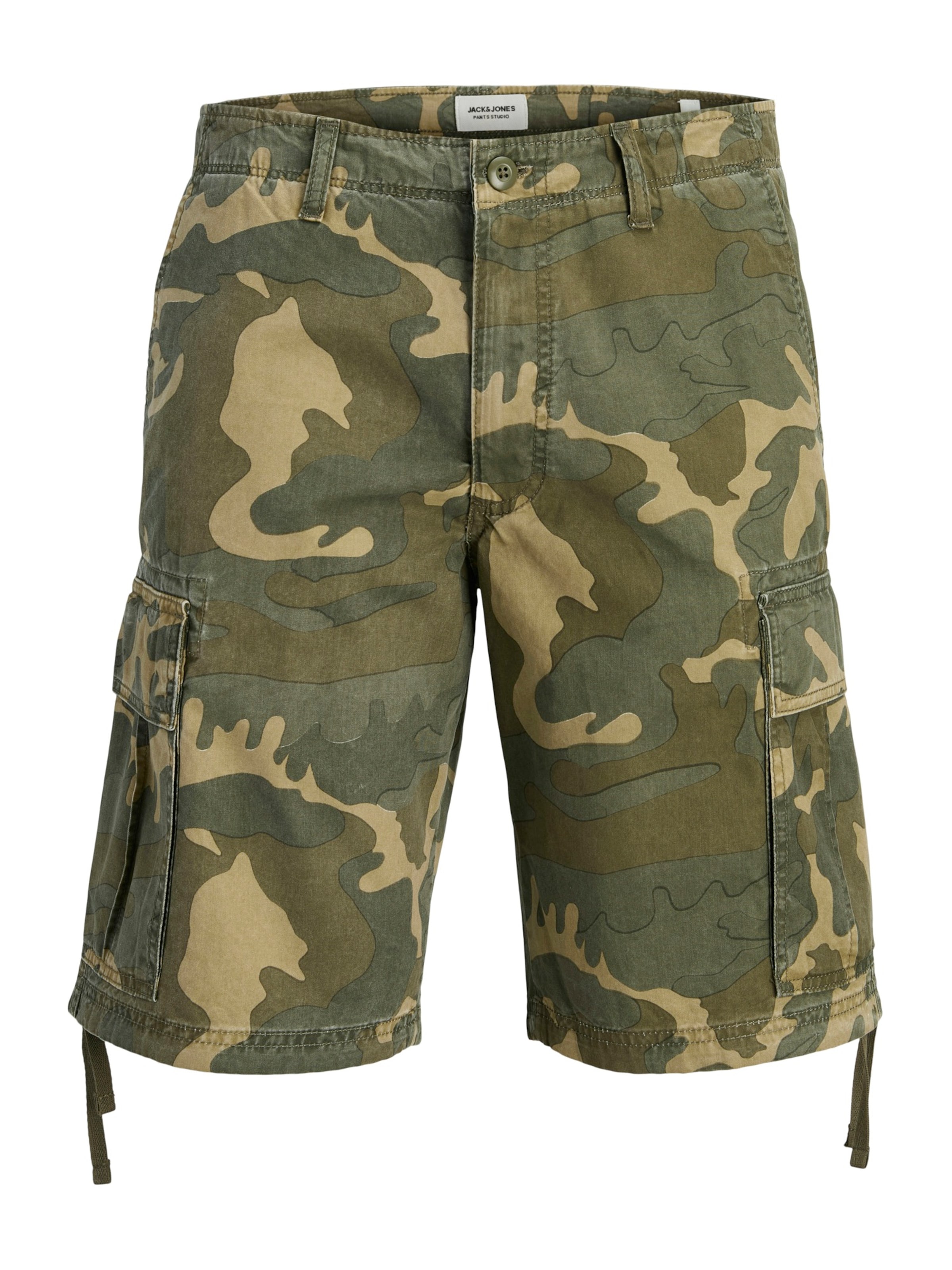 JACK & JONES Cargo Pants 'JPSTCOLE FRANK' in Green: front