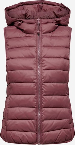 Gilet 'NEW TAHOE' ONLY en rose : devant