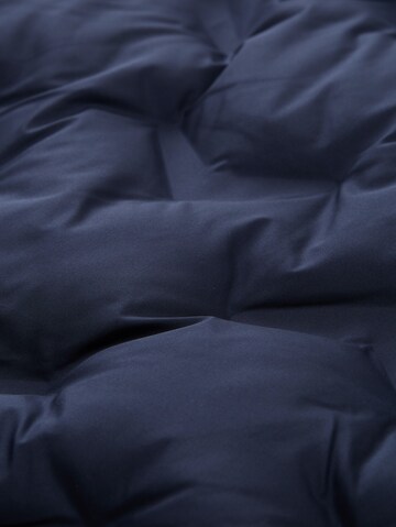 TOM TAILOR Men + Winter jacket in Blue