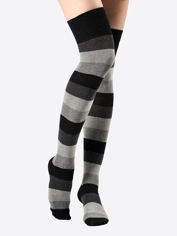 Yenita - Calcetines sobre la rodilla en gris: frente