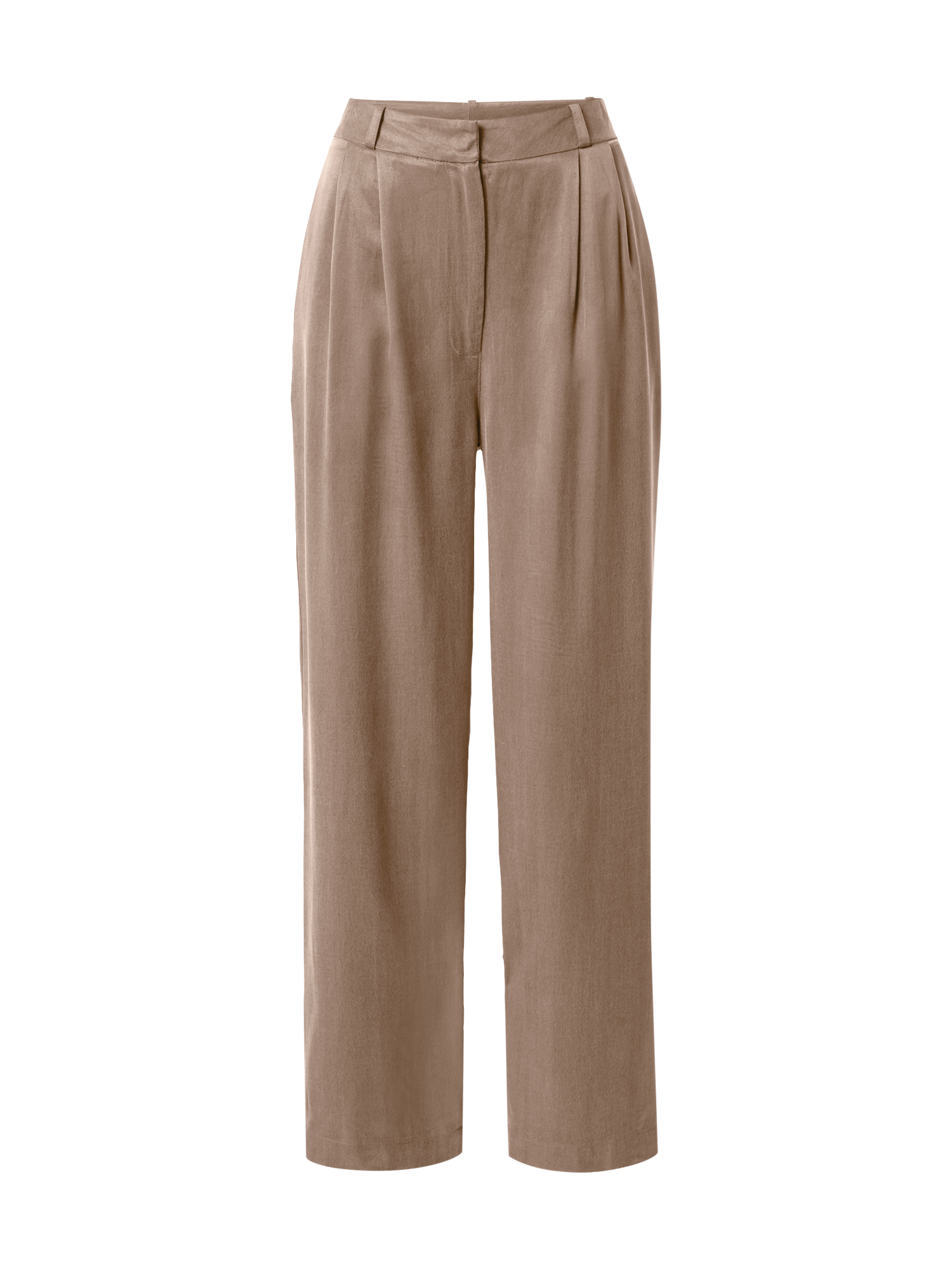 Abbigliamento SAkFR A LOT LESS Pantaloni con pieghe Florentina in Marrone 