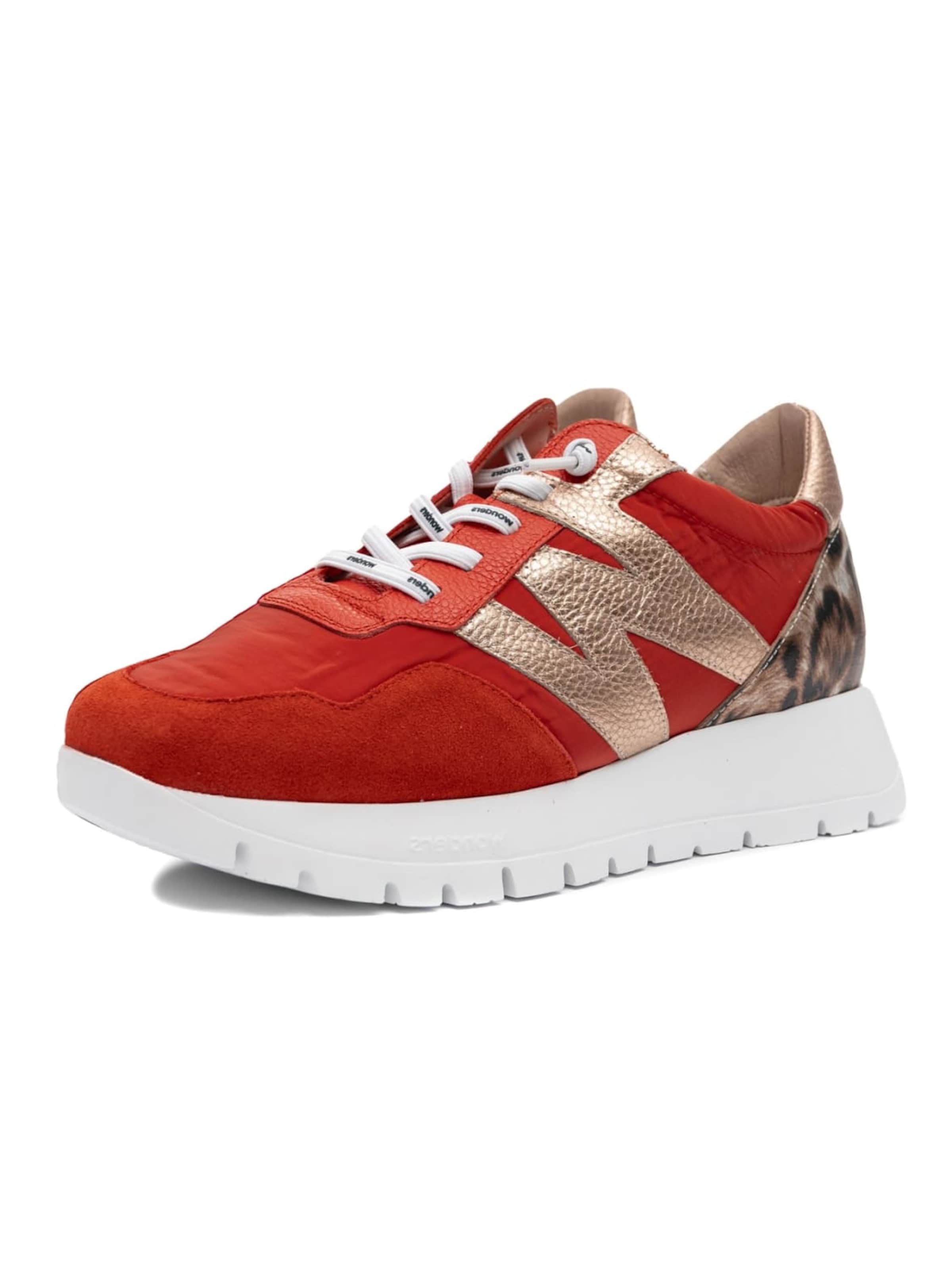 Wonders Sneaker low 'A-24100-FLAM-RAME' in Rot: Vorderseite