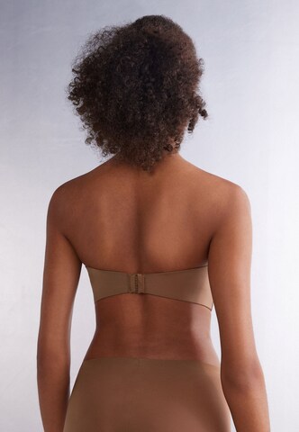 INTIMISSIMI Bandeau Bra in Brown