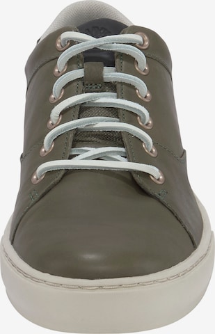 TIMBERLAND Sneakers laag in Groen