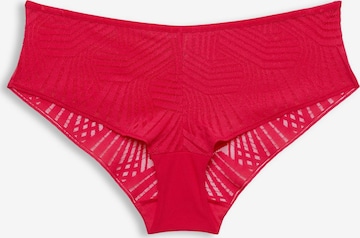 ESPRIT Boyshorts in Pink: front