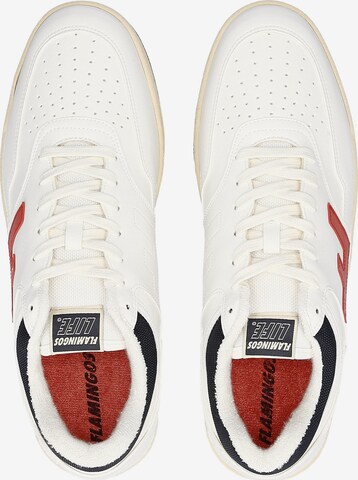 Flamingos' Life Sneakers in White