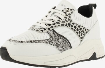 BULLBOXER Sneakers in White: front