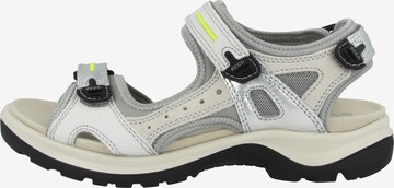 ECCO Wandelsandalen 'Offroad' in Grijs