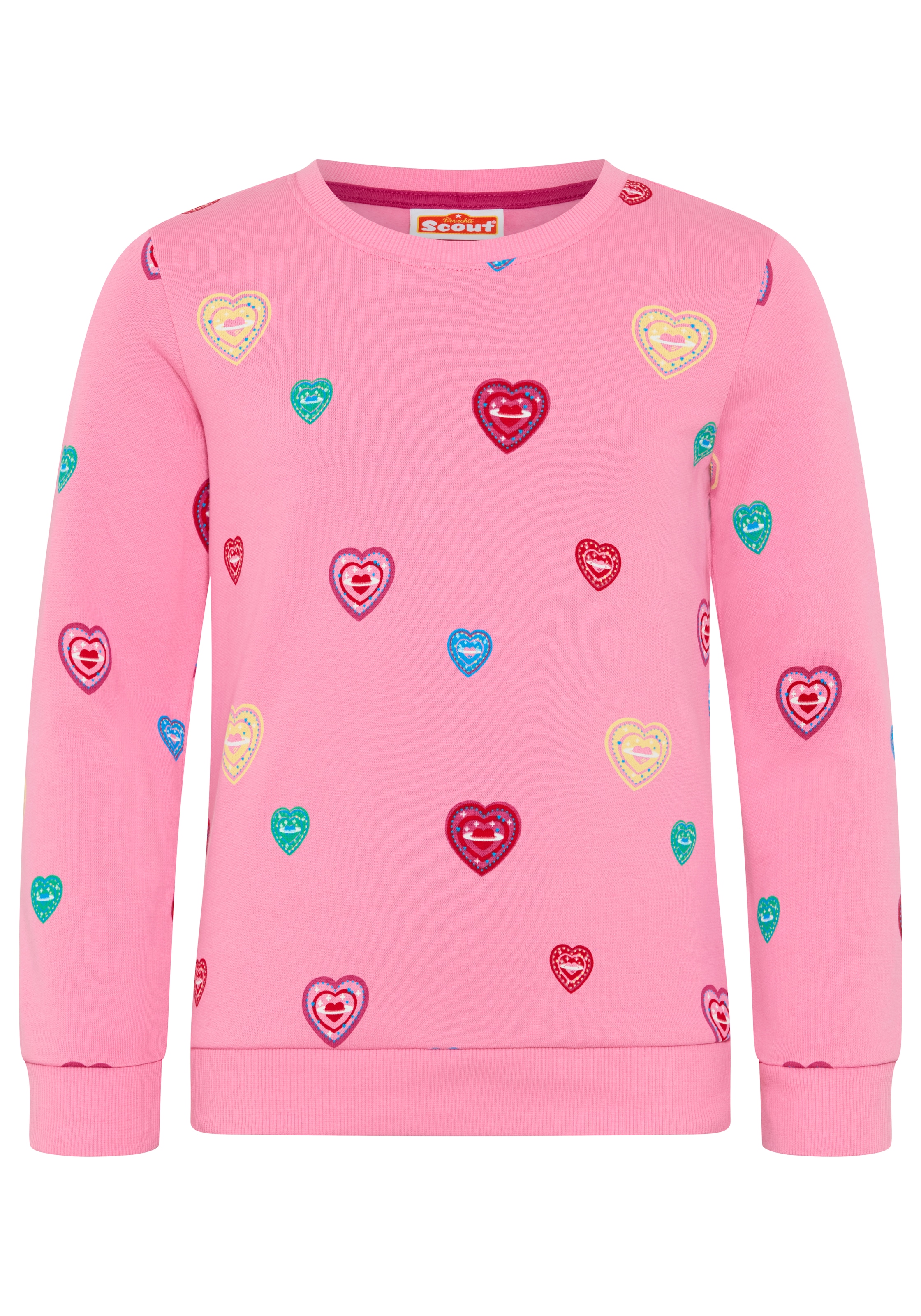 SCOUT Sweatshirt in Pink: front