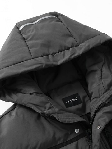 ALLTHEMEN Winter Coat 'Flaum' in Grey