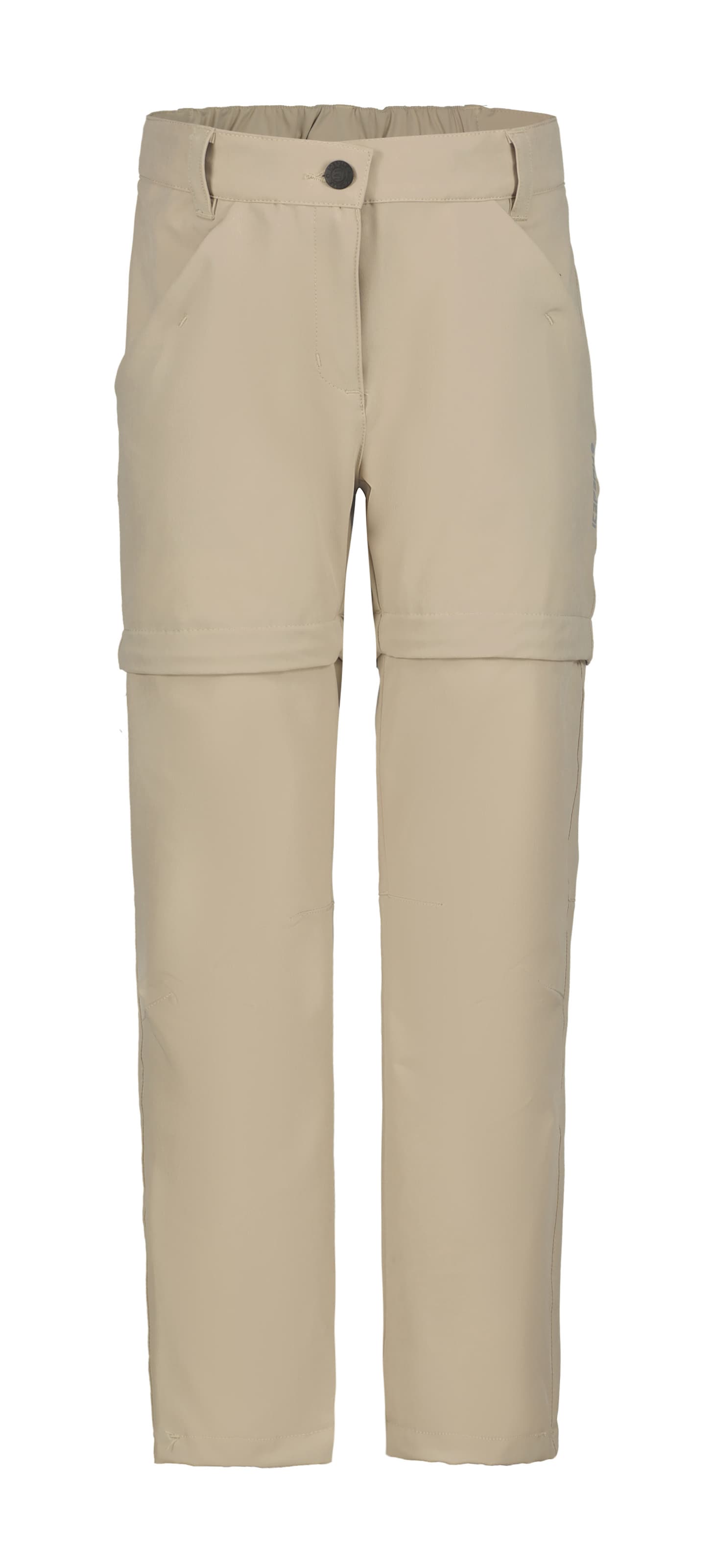 ICEPEAK Regular Outdoor Pants in Beige: front